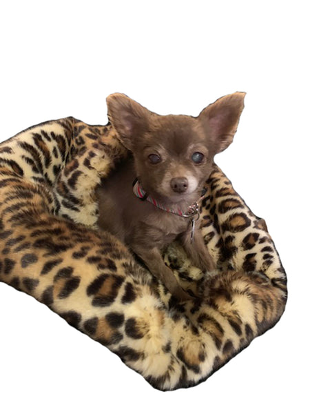 Tiger Dreamz - Trundle Pet Bed 3 Way - Leopard