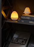 Lladro - Lithophane Votive Light - Toucans
