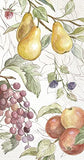 Boston International - Paper Guest Towel 16 Count - Country Fruits Cream