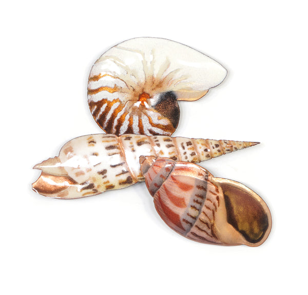 Bovano - Wall Sculpture - Nautilus, Auger & Babylon Shells