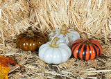 Boston International - Glass Pumpkins Set of 4 - Mini Mix