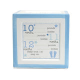 Child To Cherish - Money Bank - A Block To Grow On - Blue