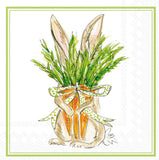 Boston International - 3-Ply 5" Cocktail Napkins 20 Count - Carrot Bunny
