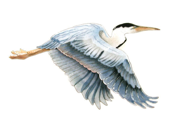 Bovano - Wall Sculpture - Flying Blue Heron