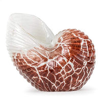 Dynasty Gallery - Glass Figurine - Glass Nautilus