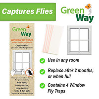 GC - Green Way - Captures Window Fly