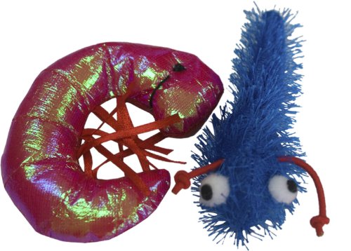 Imperial Cat - Catnip Toys - Shrimp and Tadpole