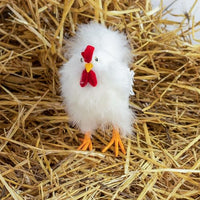 ZUCKER - White Hen House Decoration | Farmhouse Decor | 8" Chicken Statue Figurine