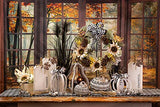 Boston International - Large Glass Pumpkin - Black & White