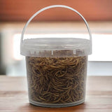 GC - Songbird Essentials - Dried Meal Worms - 7 oz. Tub