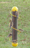 GC - Songbird Essentials - 17" Spiral Finch Feeder - Yellow