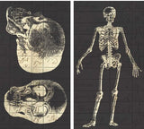 HomArt - Match Box Set Of 2 - Infirmerie General