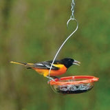 GC - Droll Yankees - BO's Marmalade Hanging Oriole Feeder