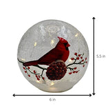 GC - Christmas Cardinal - 6" LED Lighted Crackle Glass Globe