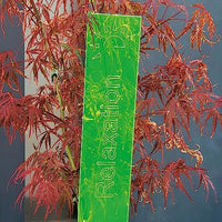 Cazador-del-sol - 20'' Inspirational Sign - Relaxation  Green