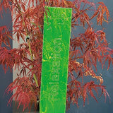Cazador-del-sol - 20'' Inspirational Sign - Relaxation  Green