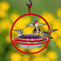 Couronne - Hanging Sphere Hummingbird Feeder w/ Perch - Red