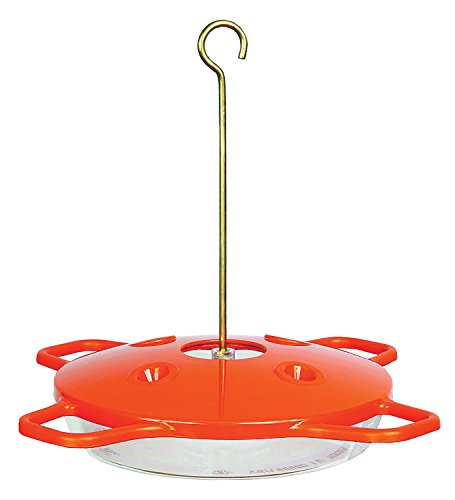 Goldcrest - Aspects - The Oriole Feeder - 16 ounce
