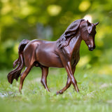 Breyer Morganquest Native Sun W1856, Dark Brown