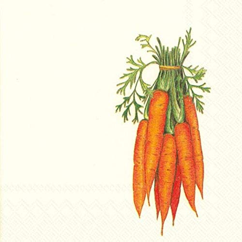 Boston International - 3-Ply 5" Cocktail Napkins 20 Count - Carrots