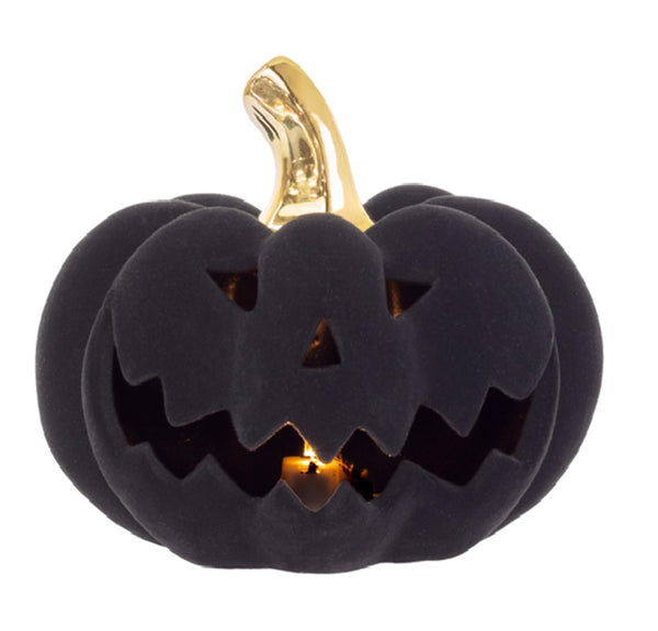 Boston International - Small Black Flocked Velvet Jack O Lantern - LED