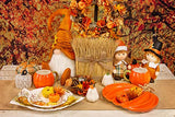 Boston International - Tabletop Mini Boxed Pumpkins - Orange
