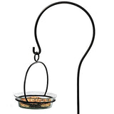 Couronne - Hanging Cuban Bird Bath or Feeder - Clear
