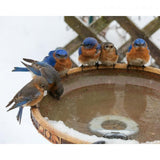 GC - Songbird Essentials - Bird Bath & Multi-Use De-Icer