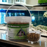 GC - Songbird Essentials - Dried Meal Worms - 7 oz. Tub