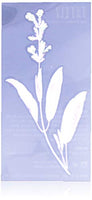 Tattly Temporary Tattoos - Sage - Scented - Set of 2