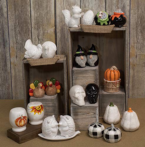 Boston International - Salt & Pepper Set - White Squirrel