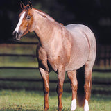Breyer - Traditional Series - Peptoboonsmal - Champion Cutting Horse