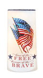 Stony Creek - 10" Frosted Glass USB Lighted Vase - Free and the Brave