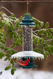 GC - Brome Bird Care - Squirrel Buster Plus - Weatherguard Feeder Attachment