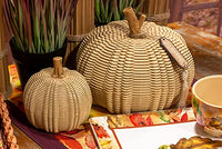 Boston International - Tan Wicker Pumpkin - Small