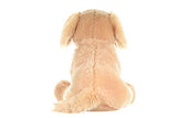 Wild Republic - Cuddlekins - Golden Retriever 12"