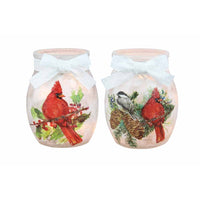 Stony Creek - 4" Frosted Lighted Jar w/ Ribbon - Birds of Winter