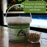 GC - Songbird Essentials - Dried Meal Worms - 7 oz. Tub