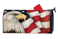 MailWraps - Mailbox Cover - American Eagle