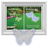 GC - Window Alert -  Window Strike Deterrent - 4 Decals - Butterfly