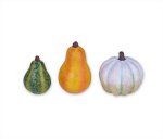 Studio M - 9 Piece Miniature Garden Kit - Harvest Life