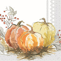 Boston International - 3-Ply 6.5" Lunch Napkins - Painted Pumpkin