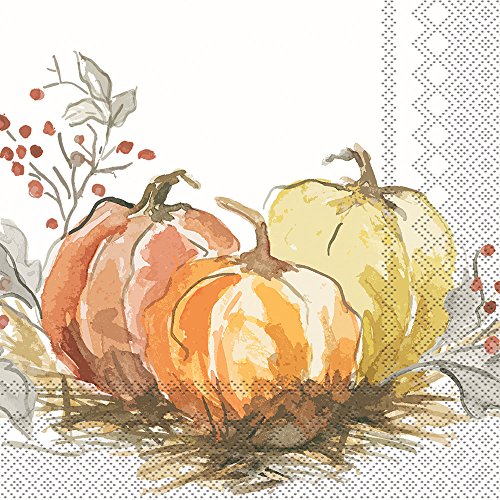 Boston International - 3-Ply 6.5" Lunch Napkins - Painted Pumpkin