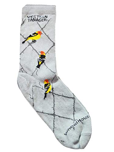 Wheel House Designs - Western Tanager On Gray - 9-11