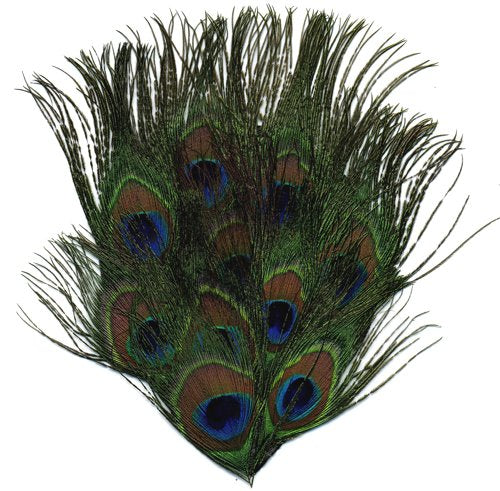 Zucker Feather - Natural Full Peacock Eye Feather Pads