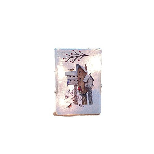 Stony Creek - Frosted Glass - 6" Lit Rectangle Vase - Birdhouses & Holly Berry