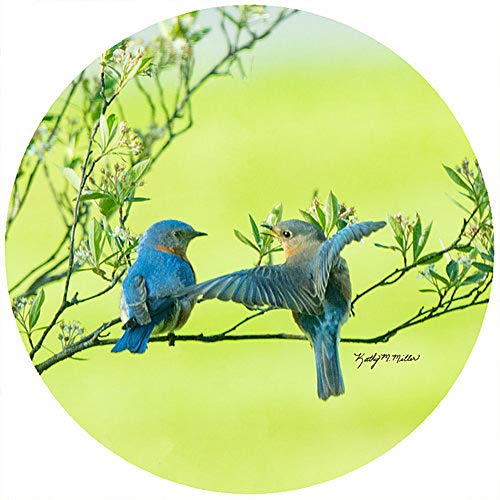 Andrea's Silicone - 8" Non-Slip Trivet - Blue Bird Couple - Green Background