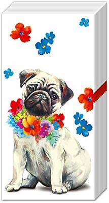 Boston International - Tissue 10 Pack - 2 Packs - Alfred