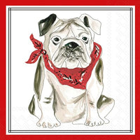 Boston International - 3-Ply 5" Cocktail Napkins - Hometown Pride - Red Bulldog