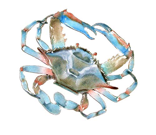 Bovano - Wall Sculpture - Blue Crab